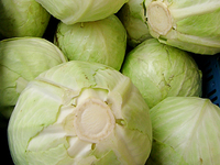 Der Sauerkraut-Versteher Der Sauerkraut-Versteher