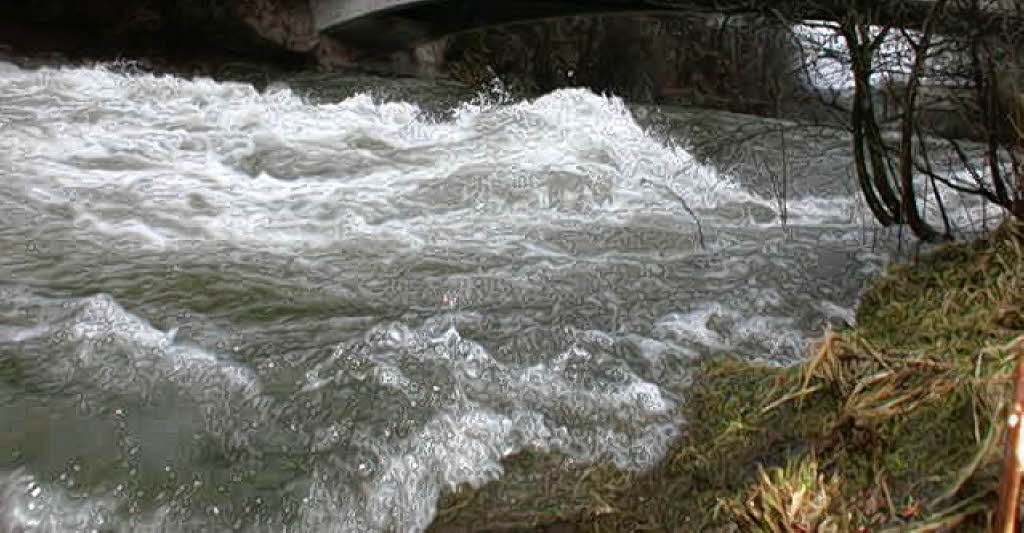 Hochwasserschutz für Wieslet wird gefördert Kleines Wiesental