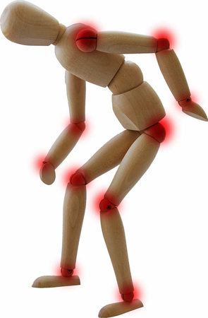 Panorama: Wenn Knochen auf Knochen reibt - badische-zeitung.de