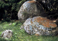 ORTE ORTE
