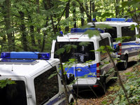 Nach Knochenfund: Polizei durchsucht Waldgebiet Nach Knochenfund: Polizei durchsucht Waldgebiet
