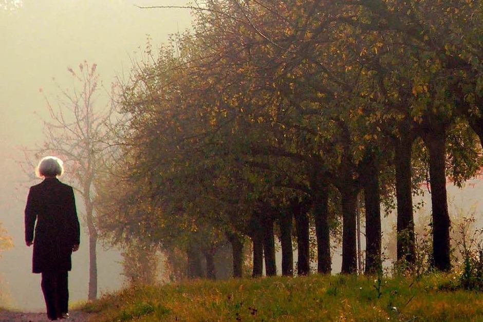 Tipp 1: Raus in die Natur. UV-Strahlung sorgt dafür, dass unser Körper das Glückshormon Serotonin bildet. Nutzen Sie daher jede Gelegenheit für einen Spaziergang, am besten im Herbstwald. (Foto: Markus Donner) Tipp 1: Raus in die Natur. UV-Strahlung sorgt dafür, dass unser Körper das Glückshormon Serotonin bildet. Nutzen Sie daher jede Gelegenheit für einen Spaziergang, am besten im Herbstwald. (Foto: Markus Donner)