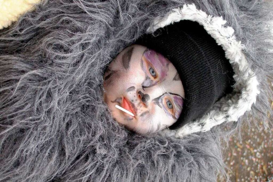 Mit neun Monaten schon ein richtiger Narr: Ein Baby aus den Reihen der Rettiwölfe aus Hausen vor Wald (Foto: Liane Schilling) Mit neun Monaten schon ein richtiger Narr: Ein Baby aus den Reihen der Rettiwölfe aus Hausen vor Wald (Foto: Liane Schilling)