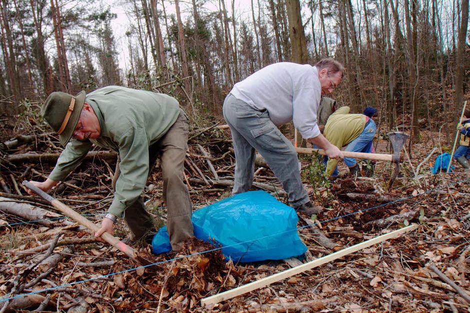 Rund drei Dutzend Freiwillige packten bei der Bürgerpflanzaktion am Samstag im Herbolzheimer Wald mit an. (Foto: Patrik Müller) Rund drei Dutzend Freiwillige packten bei der Bürgerpflanzaktion am Samstag im Herbolzheimer Wald mit an. (Foto: Patrik Müller)