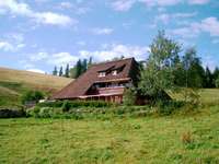 Hinterwaldkopfhütte: Die Stille der Almweiden Hinterwaldkopfhütte: Die Stille der Almweiden
