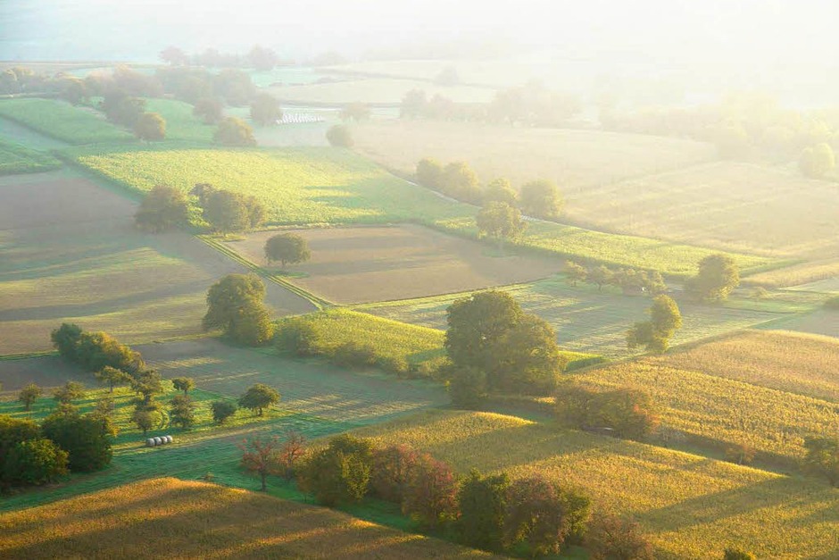 Über den Feldern hält sich der Nebel (Foto: Katharina Meyer) Über den Feldern hält sich der Nebel (Foto: Katharina Meyer)