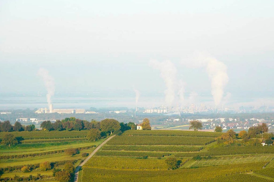 Blick über den Humberg auf die Rheinebene (Foto: Katharina Meyer) Blick über den Humberg auf die Rheinebene (Foto: Katharina Meyer)