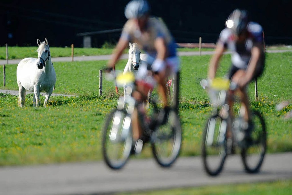Radfahren mit Flair: Der Schwarzwald-Bike-Marathon (Foto: PATRICK SEEGER) Radfahren mit Flair: Der Schwarzwald-Bike-Marathon (Foto: PATRICK SEEGER)