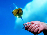 Die Geheimnisse der Champagner-Macher Die Geheimnisse der Champagner-Macher