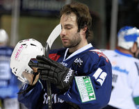 Die zwei Gesichter der Wild Wings Die zwei Gesichter der Wild Wings