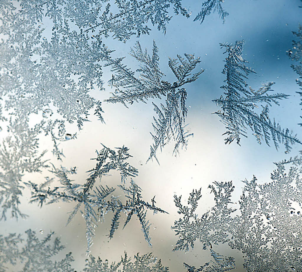 Nach dem viel zu milden Westwind regierte Väterchen Frost