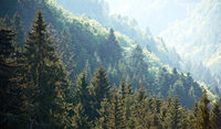 LANDSCHAFTEN LANDSCHAFTEN