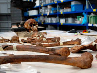 Kilianstollen: Archäologie des Ersten Weltkriegs Kilianstollen: Archäologie des Ersten Weltkriegs