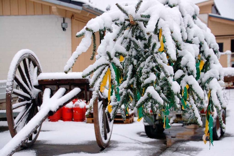 Schmutziger Dunnschtigder Denzlinger Narrenbaum vor der Lafette noch im Unterdorf (Foto: Cornelius Welsch) Schmutziger Dunnschtigder Denzlinger Narrenbaum vor der Lafette noch im Unterdorf (Foto: Cornelius Welsch)