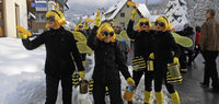 DIE EICHER FASNET DIE EICHER FASNET