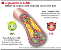 Die Mär vom guten Cholesterin Die Mär vom guten Cholesterin