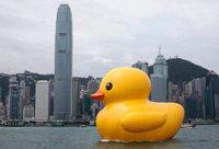Riesen-Ente schwimmt im Hafen von Hongkong Riesen-Ente schwimmt im Hafen von Hongkong