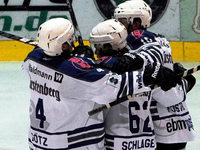 Schwenninger Wild Wings bald wieder erstklassig? Schwenninger Wild Wings bald wieder erstklassig?
