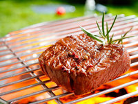 Südbaden feiert die interaktive BZ-Grillparty Südbaden feiert die interaktive BZ-Grillparty
