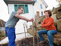 "Wohnen mit Hilfe": Suche Zimmer, biete Arbeit "Wohnen mit Hilfe": Suche Zimmer, biete Arbeit