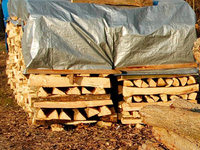 In Huttingen ist Holzauktion In Huttingen ist Holzauktion
