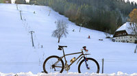 WECHSELZONE: . WECHSELZONE: .
