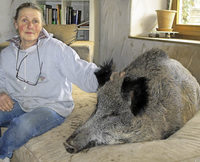 Ende einer tierischen Liebe Ende einer tierischen Liebe