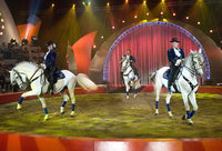 Offenburger Weihnachtscircus Offenburger Weihnachtscircus