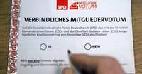 300 000 Genossen haben abgestimmt 300 000 Genossen haben abgestimmt