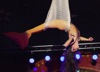 Lörracher Weihnachtscircus Lörracher Weihnachtscircus