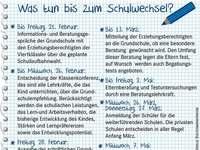 Drei-Säulen-Modell soll bei der Schulwahl helfen Drei-Säulen-Modell soll bei der Schulwahl helfen