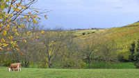 Landwirte beklagen Landverbrauch Landwirte beklagen Landverbrauch