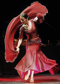 Die Flamenco-Tänzerin Bettina Castano tritt im E-Werk auf Die Flamenco-Tänzerin Bettina Castano tritt im E-Werk auf