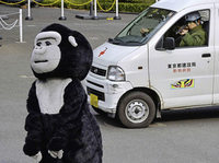 BADISCHE-ZEITUNG.DE: Plüsch-gorilla BADISCHE-ZEITUNG.DE: Plüsch-gorilla