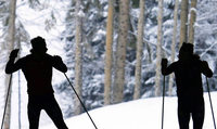 MIT DEM WINTER MIT DEM WINTER