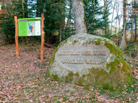 Interesse an Bestattungswald "Lichtung der Ruhe – Bürgler Wald" ist groß Interesse an Bestattungswald "Lichtung der Ruhe – Bürgler Wald" ist groß