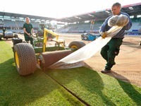 Grün von der Rolle: SC-Arena bekommt einen neuen Rasen Grün von der Rolle: SC-Arena bekommt einen neuen Rasen