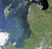 In der Ostsee wird der Sauerstoff knapp - Experten warnen In der Ostsee wird der Sauerstoff knapp - Experten warnen