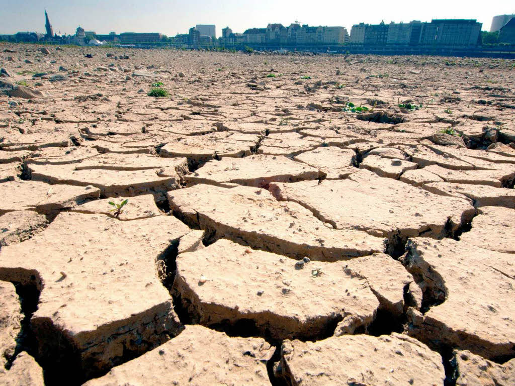 Was hilft gegen die Erderwärmung? Deutschland Badische Zeitung