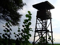 Unbekannte zünden Hochsitze an - Waldbrand verhindert Unbekannte zünden Hochsitze an - Waldbrand verhindert