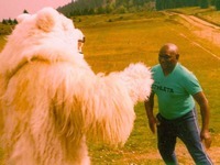 Wie der Eisbär aus Titisee Brasiliens Fußballer erschreckte Wie der Eisbär aus Titisee Brasiliens Fußballer erschreckte