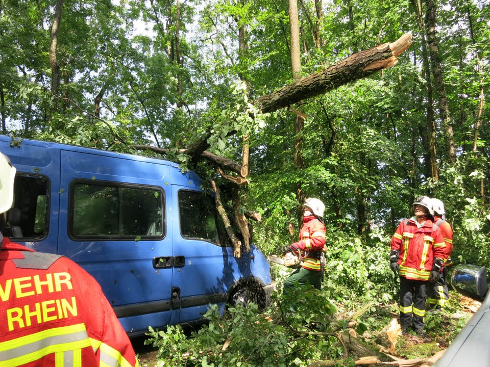 Baum Stürzt Auf Haus