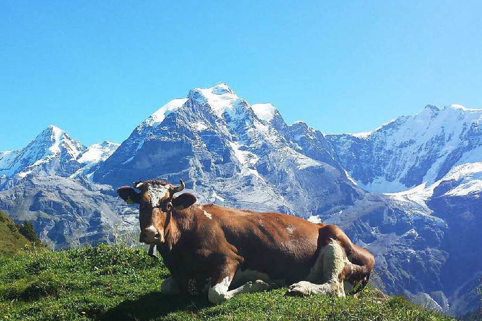 Berner Oberland, Schweiz (Foto: Heribert Schmidt) Berner Oberland, Schweiz (Foto: Heribert Schmidt)