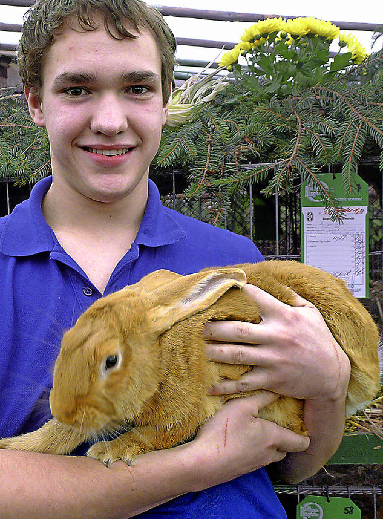 Bester Hasenbock, ein Burgunder Rassekaninchen von David Herling. Foto: akh