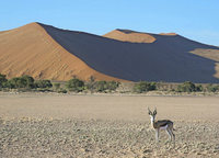 Bildvortrag von Gertraud Kinne über das südliche Afrika Bildvortrag von Gertraud Kinne über das südliche Afrika