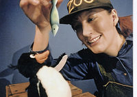 Balduin, der balzende Pinguin Balduin, der balzende Pinguin