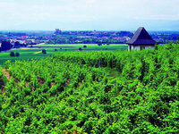Grüner Tourismus: Unterwegs auf der Route Verte Grüner Tourismus: Unterwegs auf der Route Verte