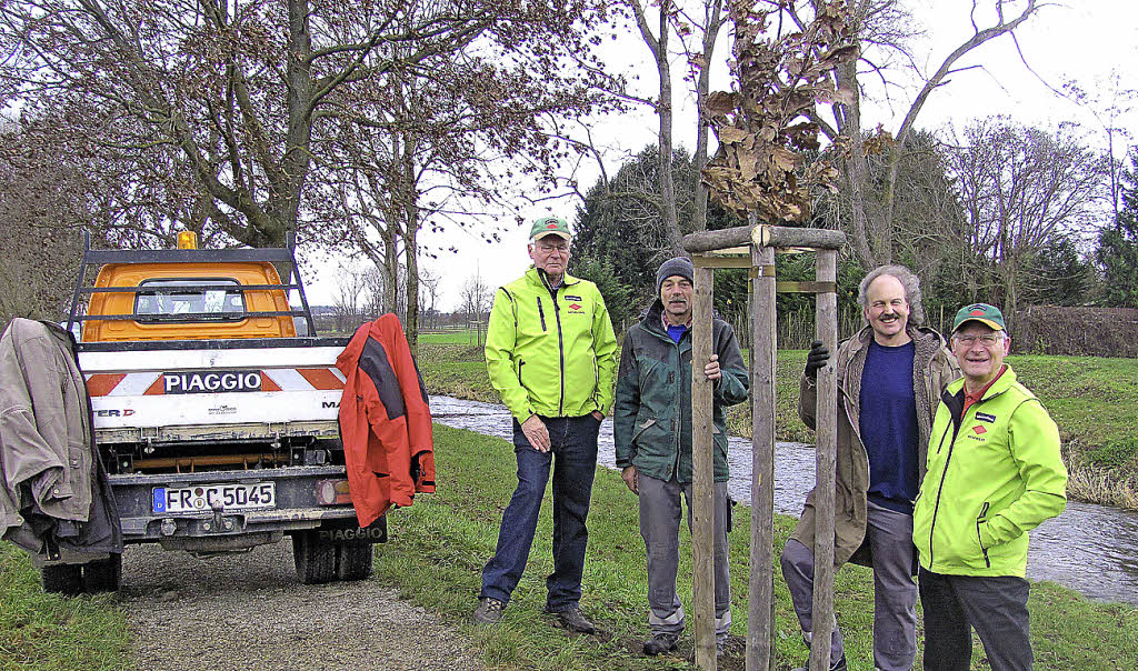 Eine Traubeneiche steht jetzt am Neumagen - Badische Zeitung