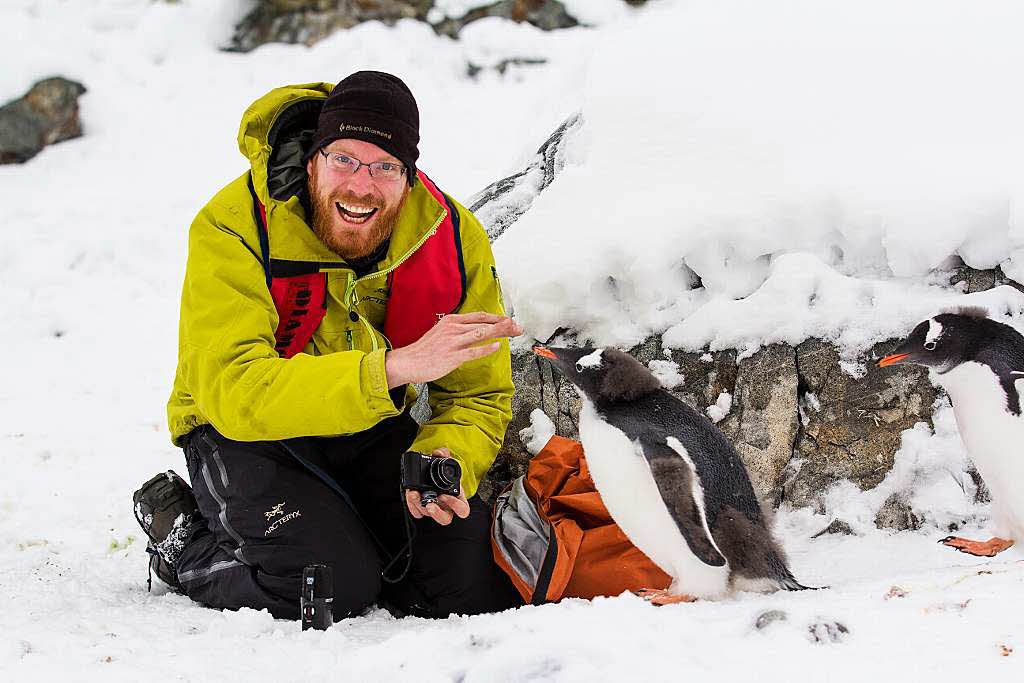 Pinguine, Partys, Südseestrände - Badische Zeitung