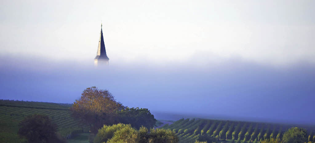 Die Basis wird noch mehr gefordert - Badische Zeitung